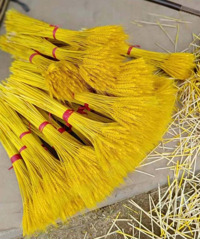 Bó 100 bông lúa mạch mạ màu vàng thu hút tài lộc, trang trí tết nguyên đán