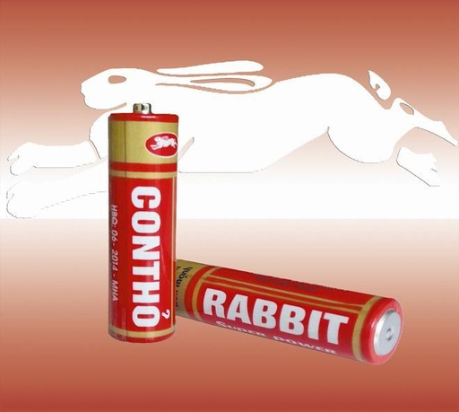 Hộp Pin con thỏ AA và AA